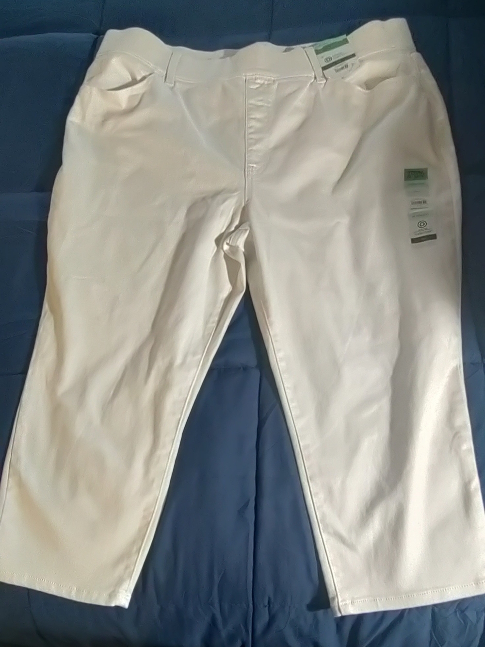 TERRA & SKY White Stretch Pullon Capri in size 2XL.